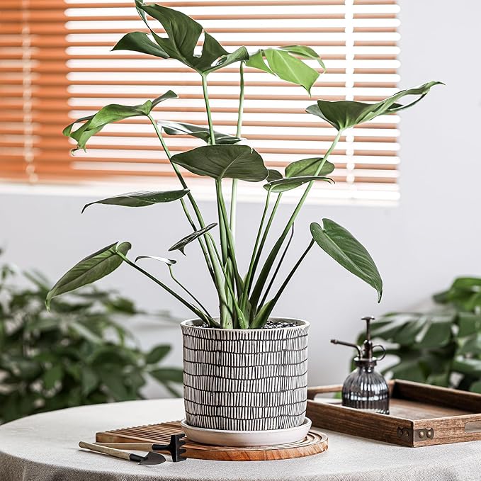 8 Inch Plant Pot: Ceramic Planter with Drainage Hole & Saucer - Cylinder Flowerpot for Indoor & Outdoor Plants - with Separate Tray for Home & Office - Striped Design