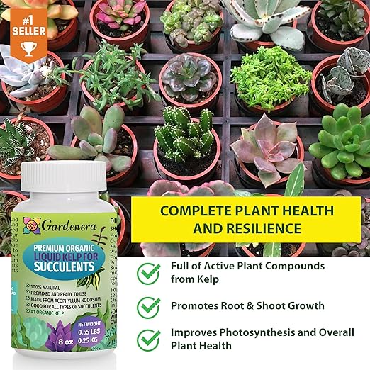 Organic Kelp Fertilizer for Succulents and Cacti by Gardenera - 8 oz - Nourish Your Succulent and Cactus with Liquid Kelp Power