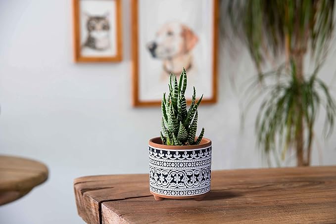D'vine Dev Set of 2 Terracotta Planter Pots, 4.4 Inch & 6.4 Inch, Wave Pattern Plants Pot with Drainage Hole, Terracotta/Black, 31-953-F-2