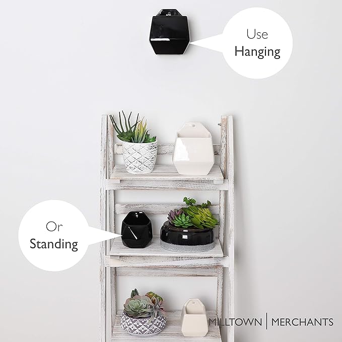 Milltown Merchants Succulent Wall Planters - Wall Vases - White Ceramic Wall Mounted Planters - Succulent Plant Pots - Hanging Vases for Living Wall (1 Pack/Contemporary/Black)