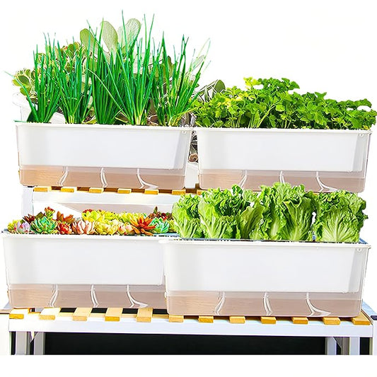 FAMZ Self Watering Pots 3 Pack,Transparent Rectangular Planting Pots, Self Watering Pots for Indoor Plants, Suitable for Growing African Violets, Fruits, Vegetables, Flowers, Plant Pots,Herb Planter