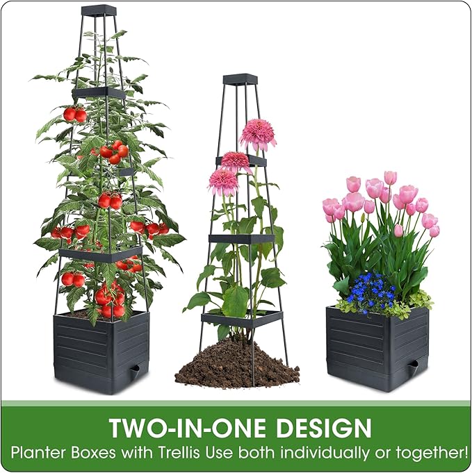 MQFORU 2 Packs Raised Garden Bed Tomato Planter with Trellis, 57" Tomato Cages for Climbing Vegetables Plant, Self Watering Planters Box for Garden Pots for Patio Greenhouse Indoor Outdoor（2PCS）