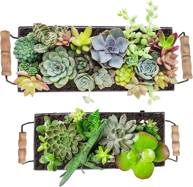 Galvanized Metal Trough Succulent Planter Farmhouse Metal Tray Rustic Tabletop Centerpiece Décor Set of 2