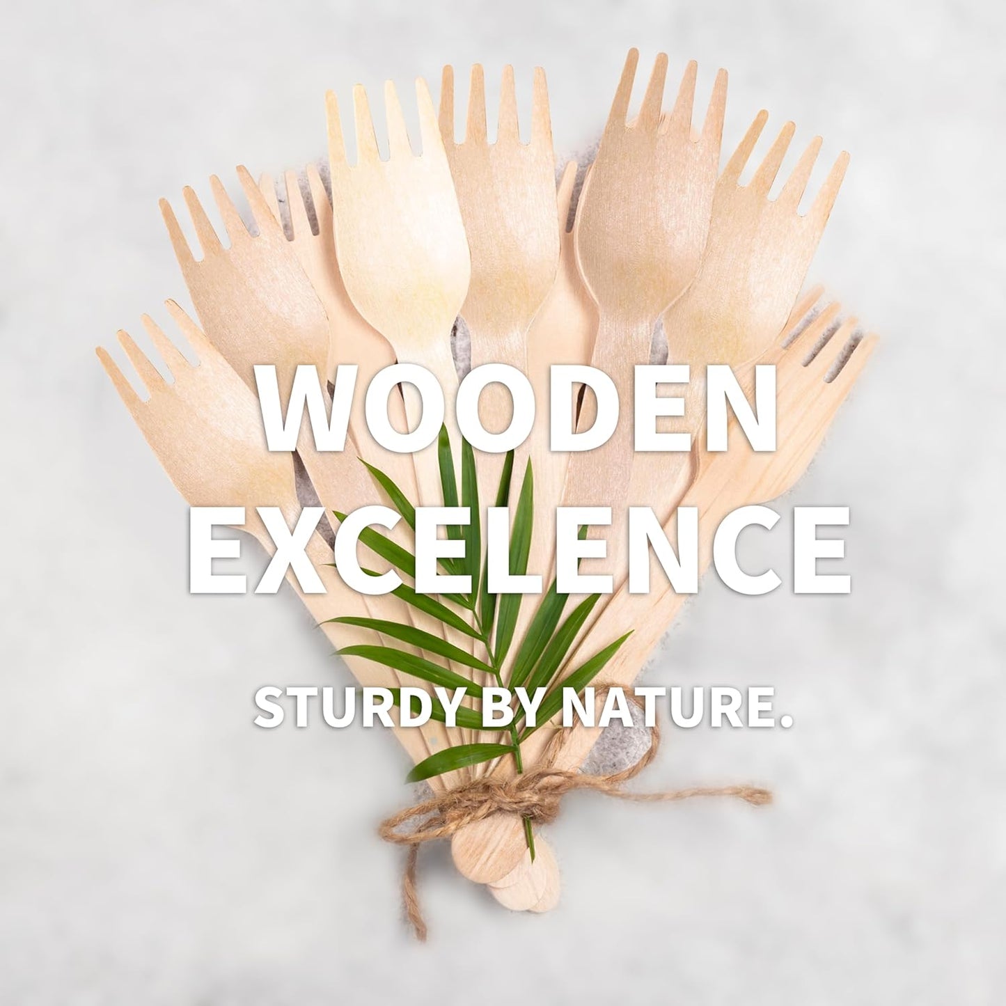 Disposable Wooden Forks – 360 Pcs Compostable Wooden Forks, Biodegradable Eco-Friendly Utensils Alternative to Plastic Cutlery for Parties, Weddings, Events & Camping