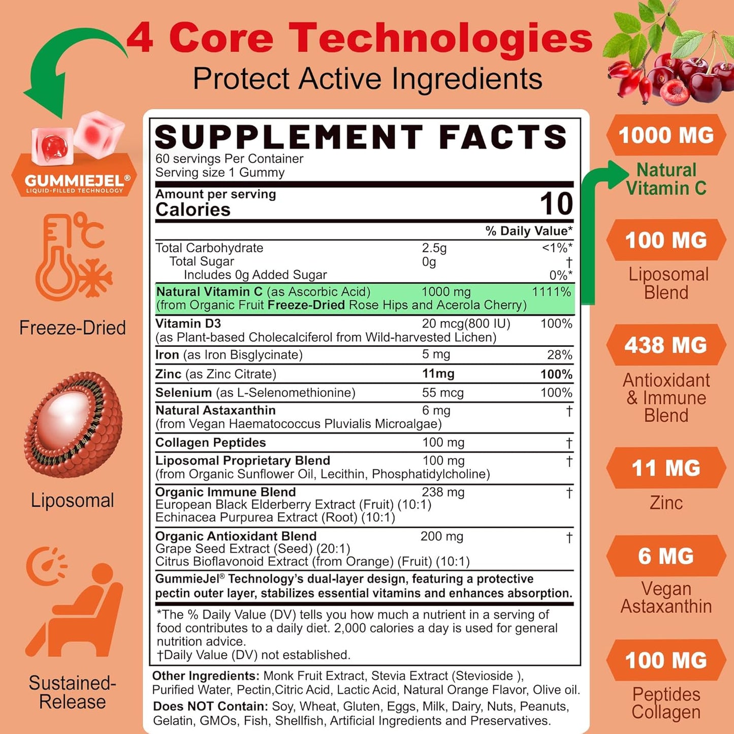 Liposomal Vitamin C 1000mg Filled Gummies for Adults & Kids 9+, 1660mg Blend w/Echinacea, Elderberry, D3, Zinc, Iron, Bioflavonoid, Astaxanthin, Natural Organic Chewable Vitamin C, Sugar Free, 2Pack