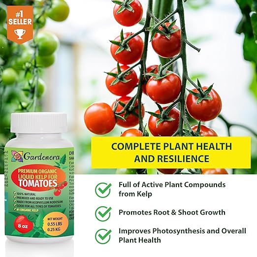 Premium Organic Kelp Concentrate for Tomato Plants - 8 oz - Amplify Tomato Size and Taste for a Satisfying Harvest