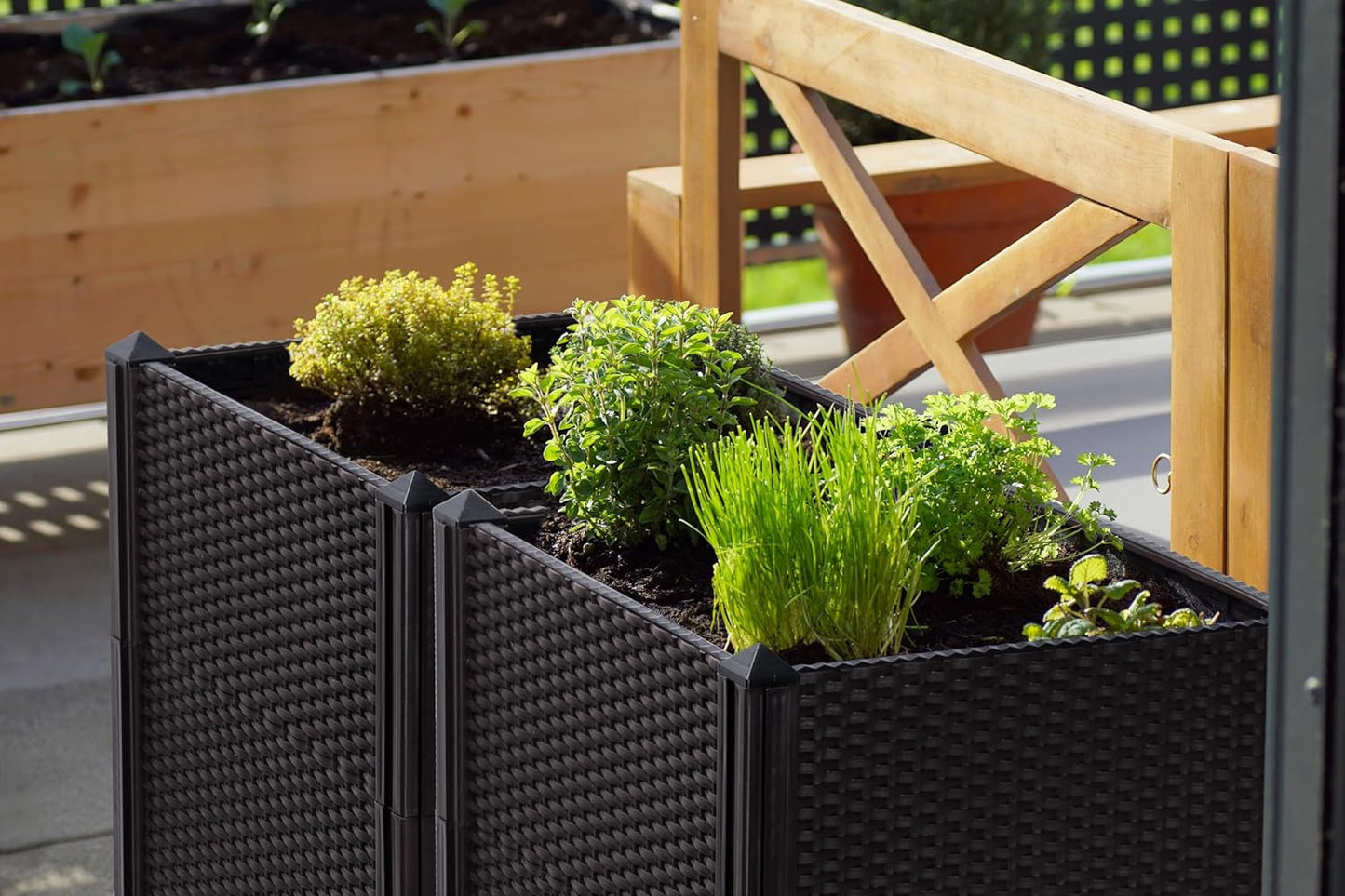 D'vine Dev Raised Patio Planter Box - Elevated Planter with Drainage Plug Raised Garden Beds for Growing Flowers, Herbs, Vegetables - Outdoor Standing Gardening Kit, Set of 2, RGB-D-2