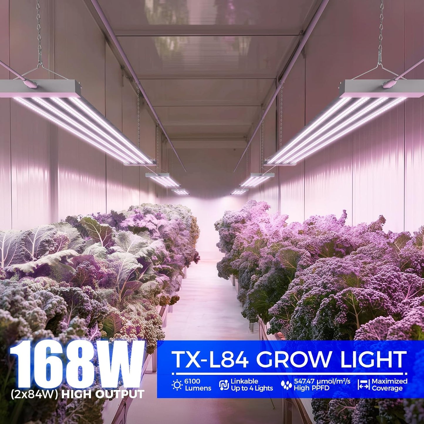 Barrina TX-L84 4FT Grow Light, 168W (2 x 84W), 4 LED Panels Wider Coverage, Full Spectrum, High PPFD, Linkable, Hanging Fixture, Plant Stand with Grow Light for Indoor, Seeding, Vegetable, 2 Packs