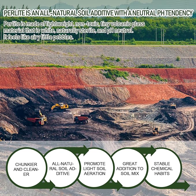 20QT Horticultural Perlite Bulk, Organic Perlite for Plants, Course Perlite for Gardening, for Plants Indoor, for Houseplants, to Promotes Soil Root Growth, and Water Drainage and Plant Growth(3-6mm)