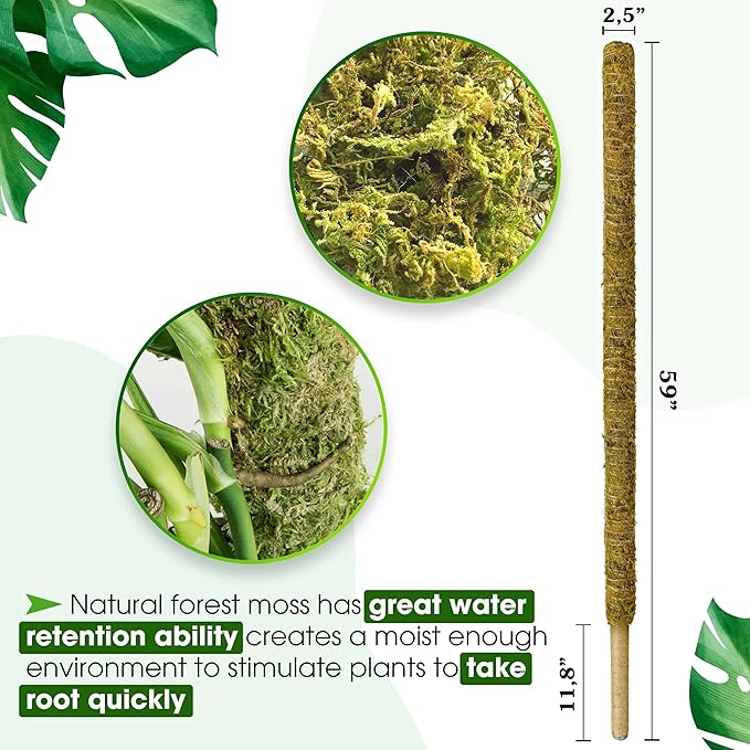 DUSPRO 59 Inches Non-Bendable Pole for Big Plants, Large Moss Pole for Plants Monstera, Plant Stakes for Indoor Plants, Monstera Plant Support, Plant Pole for Big Climbing Plants Indoor (1pc., 59'')