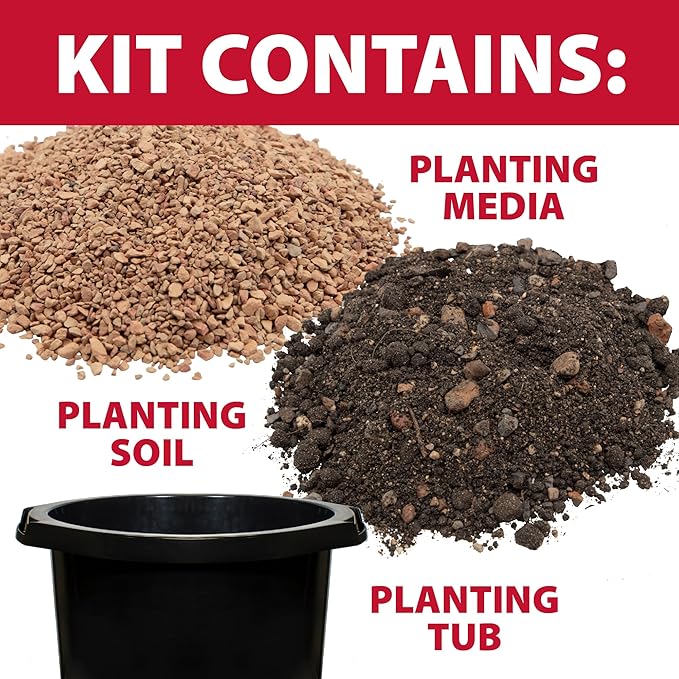 The Pond Guy Planting Tub Kit for Aquatic Plants with Soil & Media, Outdoor Water Garden Planter Pot for Lily, Lotus & Bog Plants, Small Tub Kit