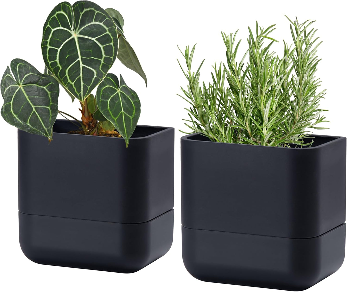 Phoenix Vine 6.5-Inch Wall Mounted Self-Watering Planter Pot for Indoor Houseplants and Herbs | Modern Hanging Planter for Window Sills, Bathroom Walls, Home & Office Décor, Black, Set of 2, 01-WP-B-2
