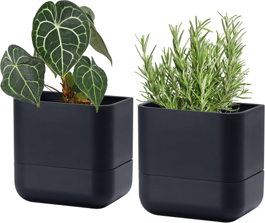 Phoenix Vine 6.5-Inch Wall Mounted Self-Watering Planter Pot for Indoor Houseplants and Herbs | Modern Hanging Planter for Window Sills, Bathroom Walls, Home & Office Décor, Black, Set of 2, 01-WP-B-2