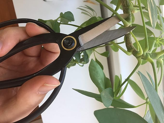 GARDEN GURU Professional Bonsai Scissors 180mm - Traditional Butterfly Bonsai Pruner Shear for Precise Trimming Pruning and Deadheading of Flowers Plants, Japanese Bonsai Garden Tools