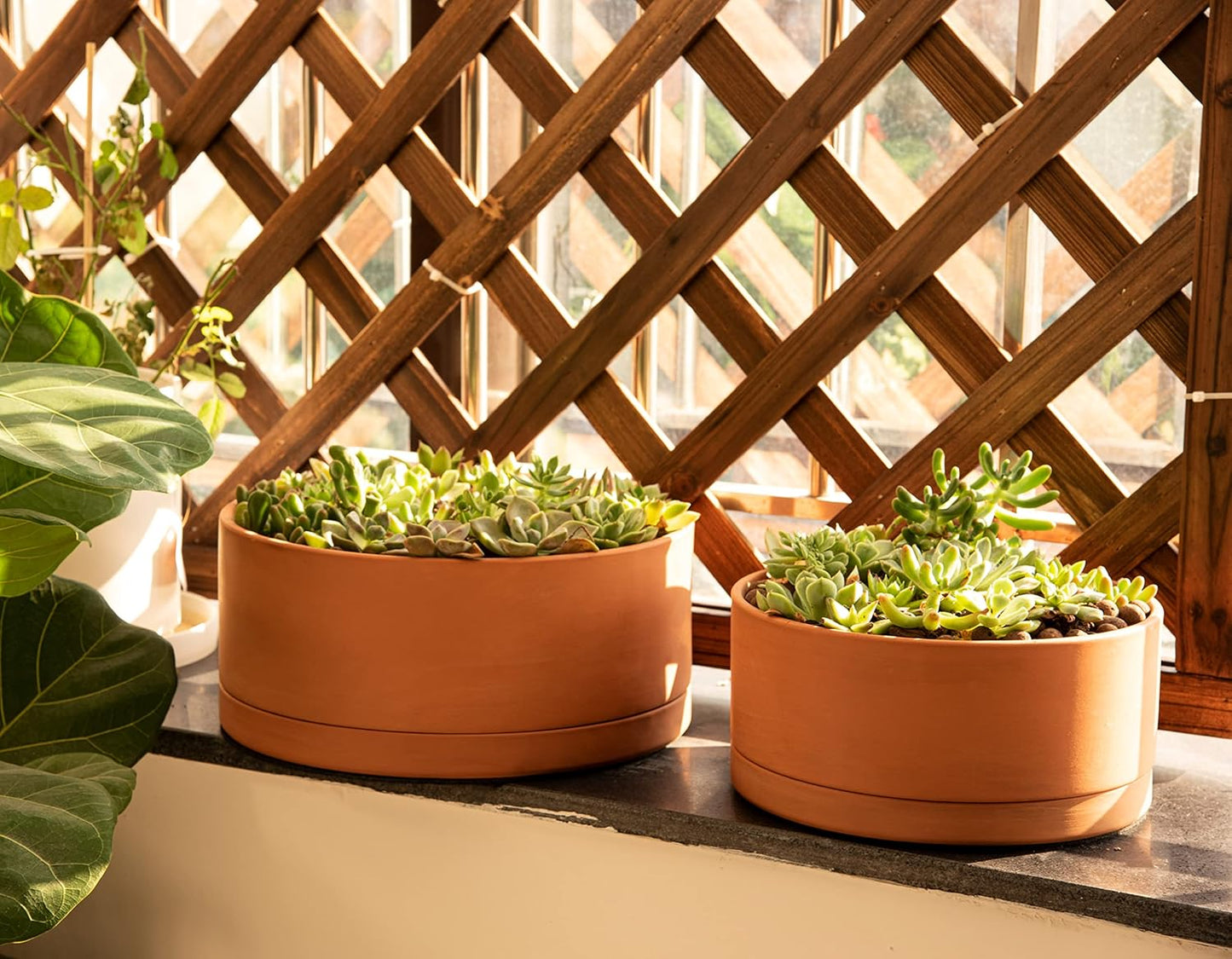 D'vine Dev 10 Inch Succulent Terracotta Shallow Pot with Drainage Hole and Saucer, Round Cylinder Planter Pot for Plant Flower, 40-Y-B-0