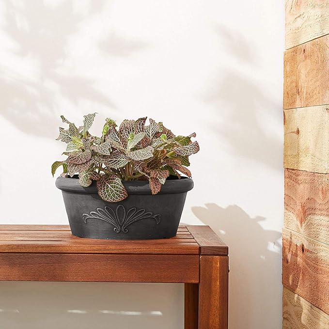 Arcadia Garden Products PSW Pot TA25DC Collection Shallow Bulb Pan Planter Dish Low Bowl for Succulents, Bonsai, Fairy Gardens, Herbs, 10-inch, Dark Charcoal, 10"x3.5"