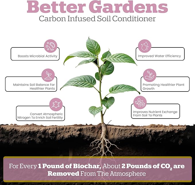Wakefield Premium Biochar Indoor Plant Potting Mix with CarbonBoost – Professional Grade Soil for Houseplants & Indoor Plants – Organic Compost Potting Soil with Pine Bark and Worm Casting – 4 Quart