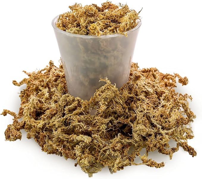 Premium Grade Sphagnum Moss by Gardenera - Organic Hand Mixed New Zealand Long Fibered Sphagnum Moss Orchid - 2 Quart
