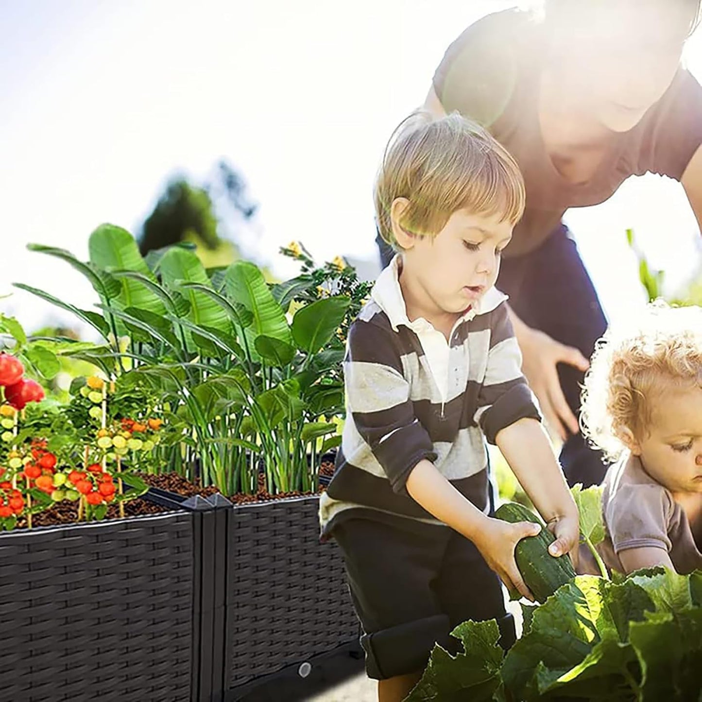 Raised Garden Bed Large Planters for Outdoor Plants Elevated Rectangular Garden Box Kits for Gardening, Vegetables, Flowers and Herbs in Backyard Patio Balcony