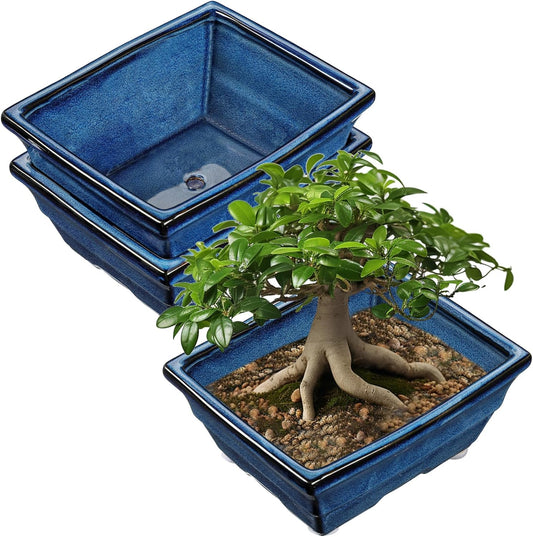 Set of 2 Large Blue Glazed Ceramic Bonsai Pots, 10" Rectangular Bonsai Planters Pots with Drainage Hole for Indoor/Outdoor Plants, Bonzie Tree Pot for Succulents, Cacti, Orchids, Herbs, Spider Plants