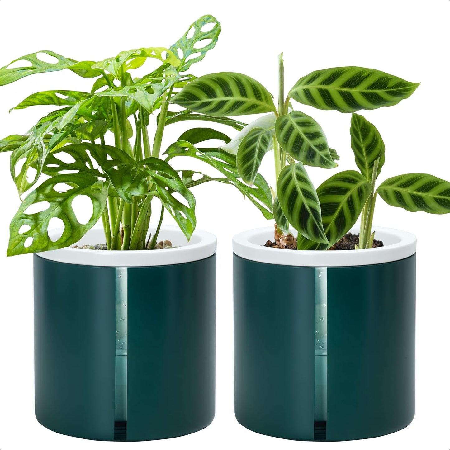 D'vine Dev 6 Inch Design Self Watering Planter for Indoor Plants, White Terracotta Pot with Teal Cylinder Glass Cup, Set of 2, 37-Y-B-5
