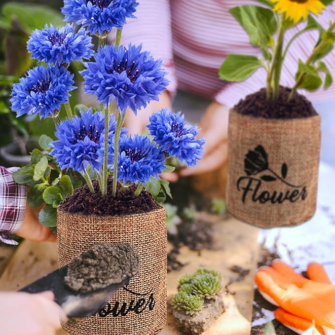 Indoor Daisy Garden Starter Kit, 4 Flower Seeds Growing into Shasta Daisy, Cornflower, Sunflower, Zinnia, Including Complete Gardening Tools, Christmas Gifts for Women Men & Beginners