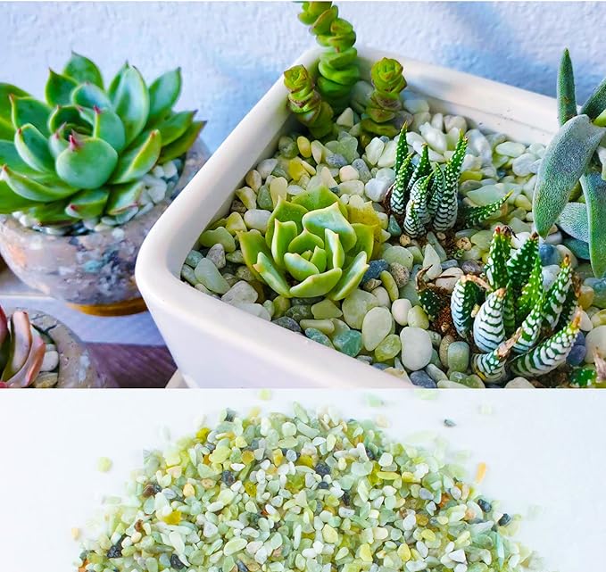 3lb Jade Bean Sand Stone-Succulents and Cactus Bonsai DIY Projects Rocks,Decorative Gravel for Plants and Vases Fillers,Terrarium,Fairy Gardening,Natural Stone Top Dressing for Potted Plants (5mm-8mm)