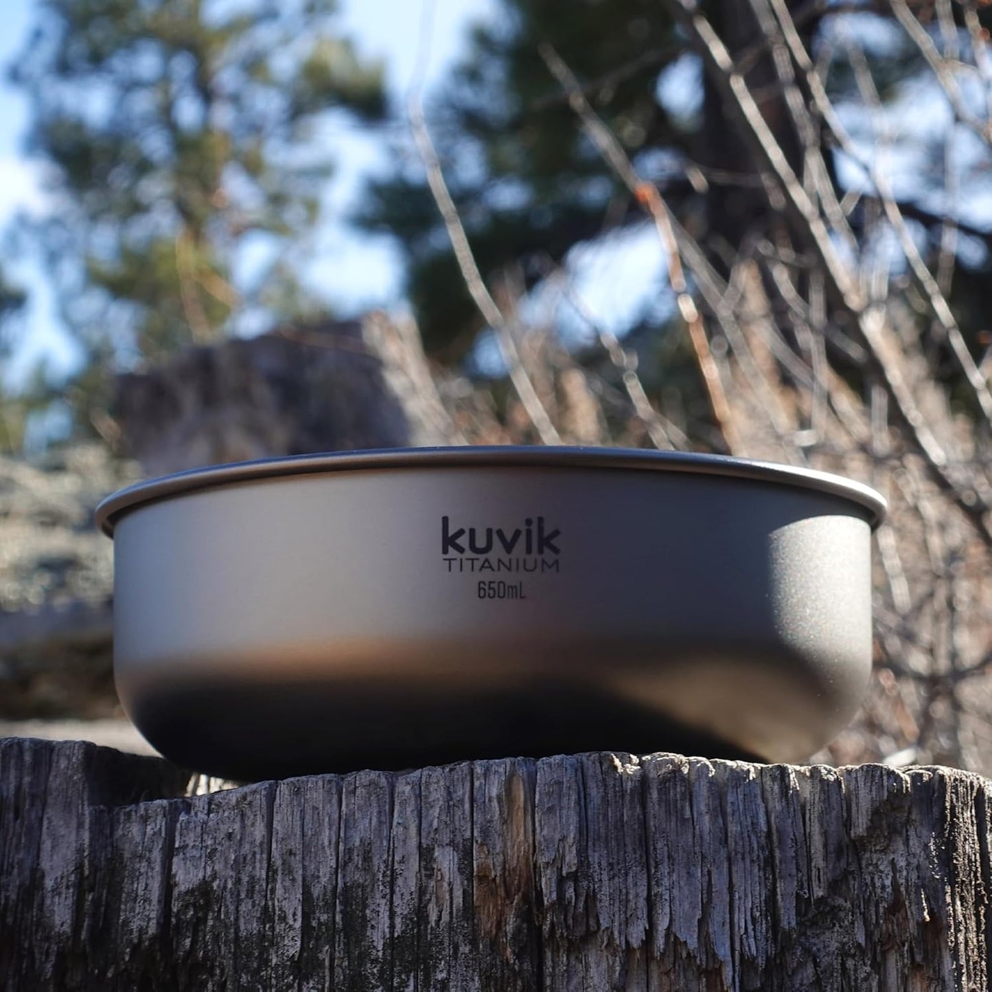 Kuvik Titanium Bowl 650ml (22 oz) - Ultralight and Compact Bowl for Backpacking, Camping, and Survival