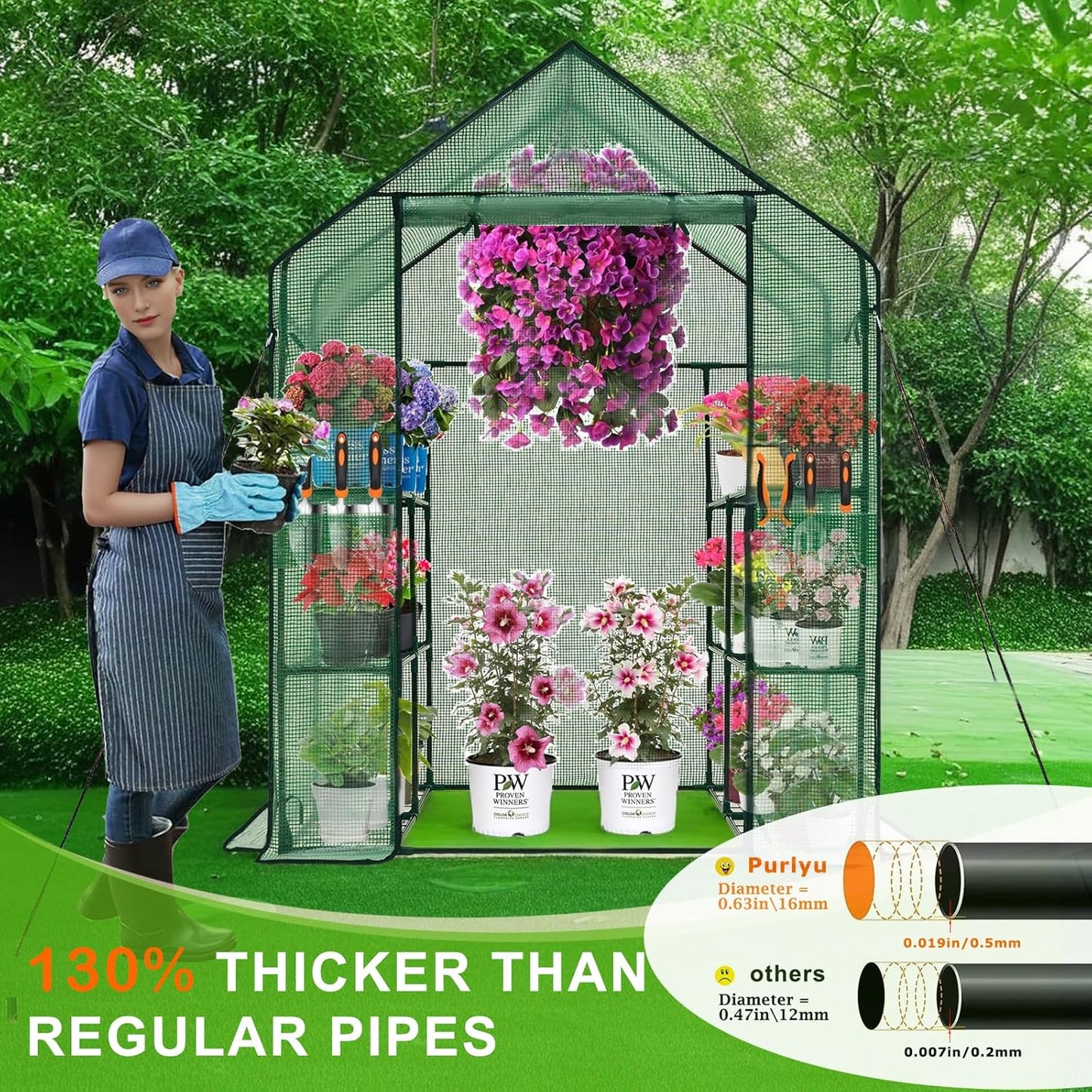 Walk-in Greenhouse w/ Roll-Up Zipper Door & Screen Windows-3 Tiers 12 Shelves 56x56x76“ PE Greenhouse for Outdoor Gardening Plants Cold Frost Protection Wind Rain Proof(PLGHW002G-N)