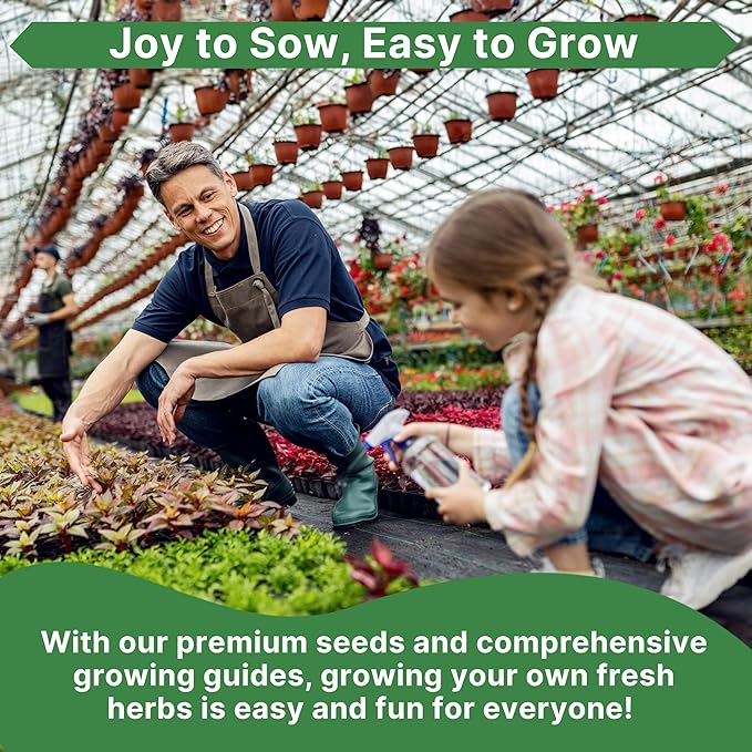 Curled Chervil Seeds Pack 2 G - 750 Non-GMO Heirloom Chervil Seeds for Planting Herbs in Individual Seed Packet, Herb Seeds for Planting Home Garden Indoor & Outdoor Gardening