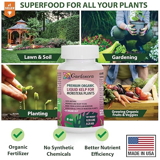 Monstera Plant Superfood - 8 oz - Organic Liquid Kelp Fertilizer for Stunning Growth and Vibrant Foliage