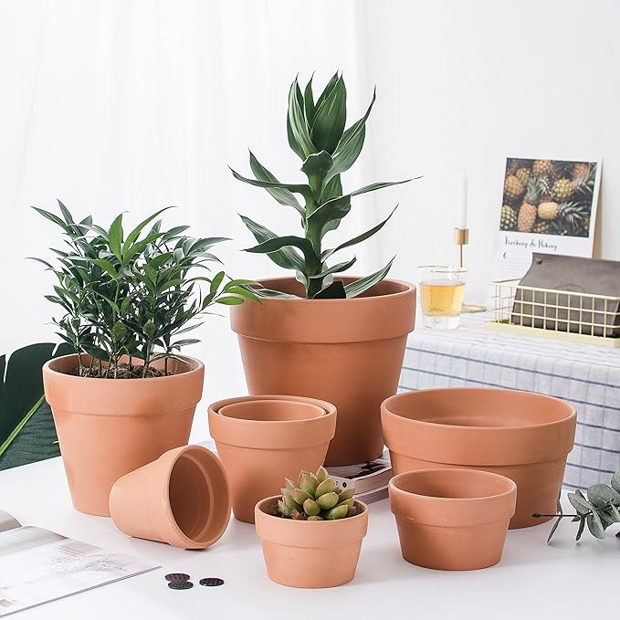 OLEEP Clay Pot - 10 Pack Large Terra Cotta Plant Pot with Drainage Hole, Clay Planters Pot, Terracotta Pot for Indoor Outdoor Plant (5.5 inch)