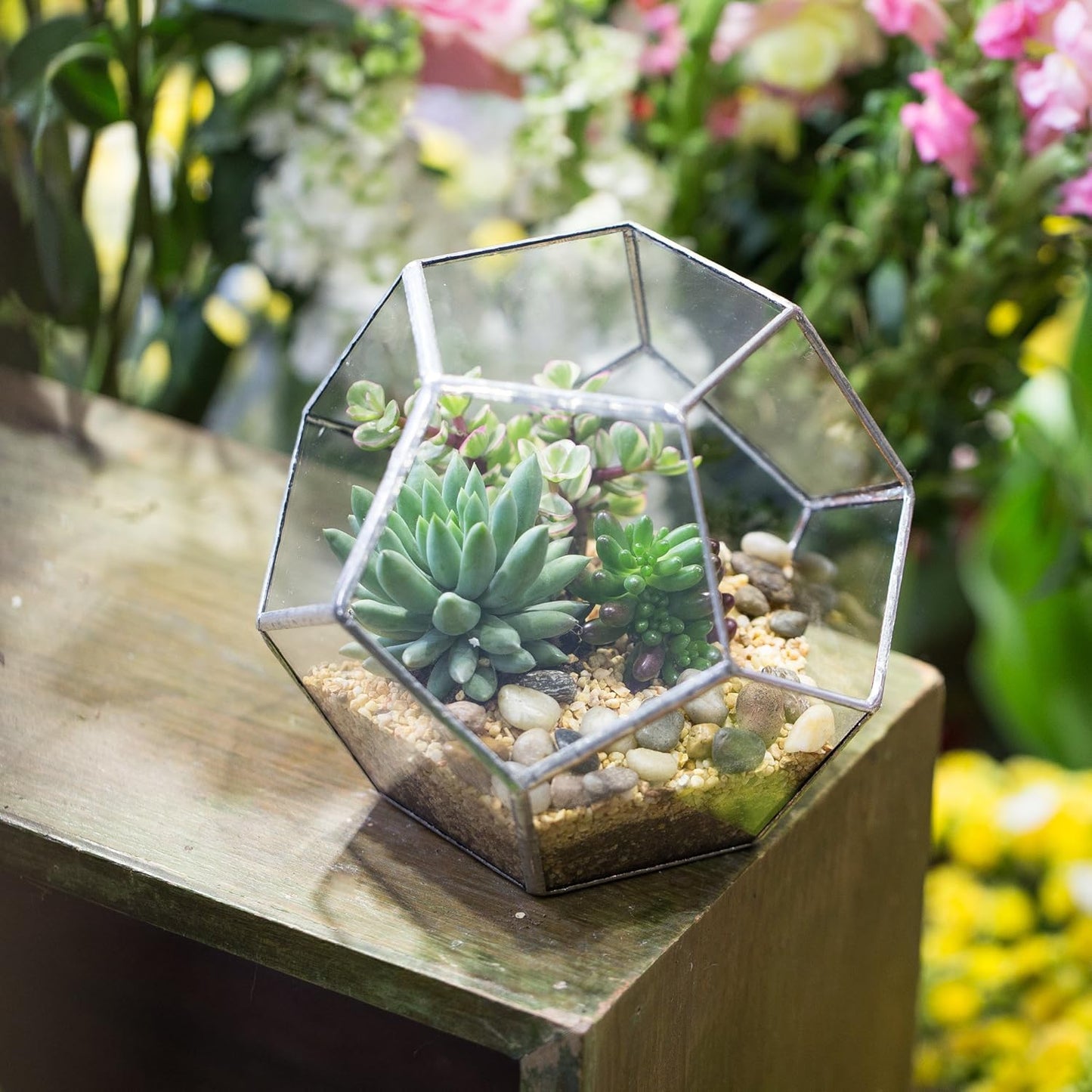 NCYP Small Silver Glass Geometric Terrarium for Succulents Air Plants, 6.89 x 6.89 x 5.9 Inches, Indoor Home Garden Planter Pot, Tabletop Decor Centerpiece, Handmade (Only Terrarium)