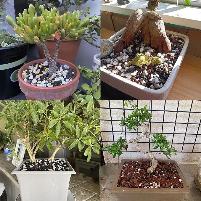 Organic Pumice for Bonsai and Horticultural 100% Natural (1 gallons, 3/8 inch)