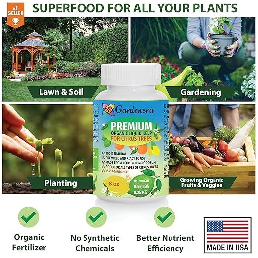 Premium Organic Kelp Concentrate for Citrus Trees - 8 oz - Amplify Citrus Fruit Size and Taste for a Satisfying Harvest