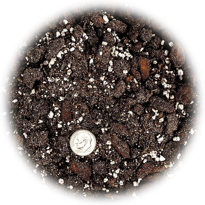 Professional Succulent Soil Premium All Purpose Blend | Pre-Mixed Ready to Use for Cactus and Succulents | Sphagnum Peat Moss, Perlite, New Zealand Pine Bark - Made in USA - 4 Quart