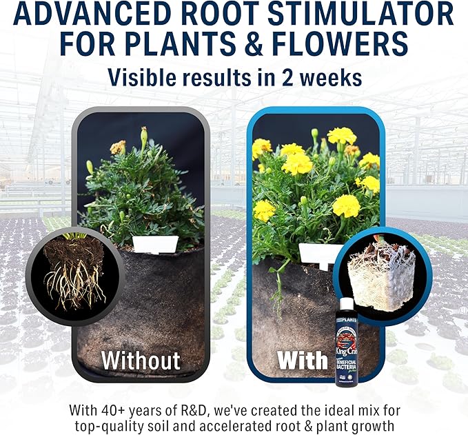 King Crab Instant Compost Tea, Root Stimulator for Plants, Ultra Concentrated OMRI Organic Bacteria, 275 Million Organisms per ml, Roses, Tomatoes, Houseplants, Soil Conditioner, Soil Microbes
