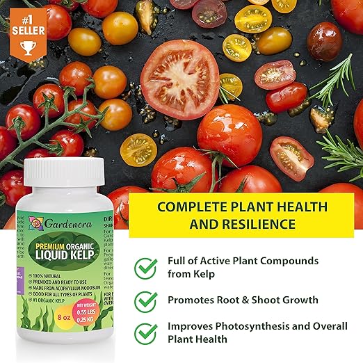 Natural Liquid Seaweed Premium Concentrate - 16 oz - Organic Plant Superfood for Gardening - Kelp Extract for Gardens, Lawns, Plants & Soil