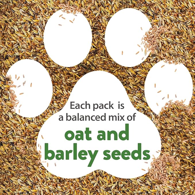 HOME GROWN 1 Pound Cat Grass Seeds for Indoor Cats & Pets - Ready to Eat in 7 Days - Quick & Easy to Grow, Cat Grass for Digestion & Hairballs, 100% Non-GMO Heirloom Oat Barley Seeds