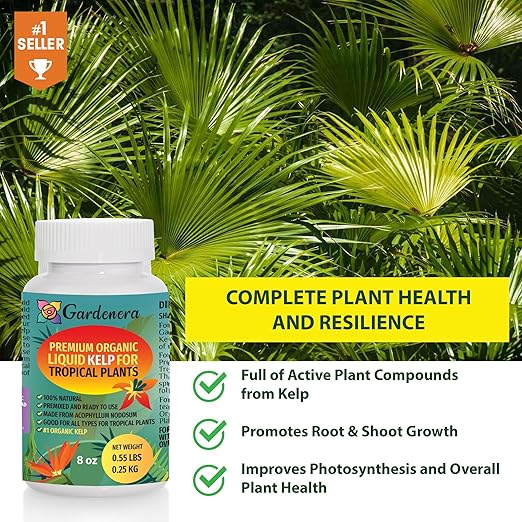 Organic Liquid Kelp Fertilizer for Tropical Plants - 16 oz - Revitalize Your Tropical Plants with Natural Seaweed Goodness