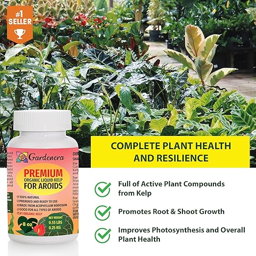 Aroid Plant Superfood - 8 oz - Organic Liquid Kelp Fertilizer for Thriving Aroid Growth