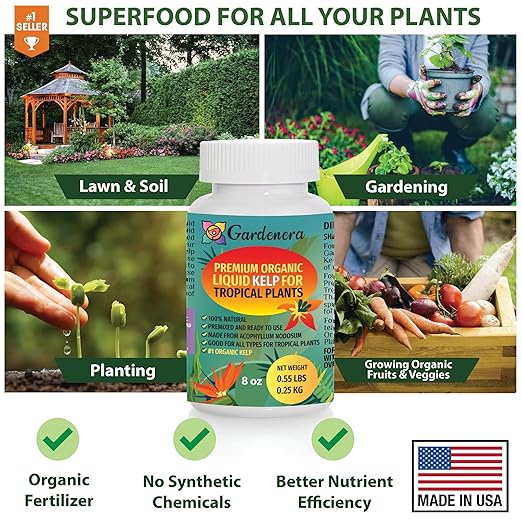 Organic Liquid Kelp Fertilizer for Tropical Plants - 16 oz - Revitalize Your Tropical Plants with Natural Seaweed Goodness