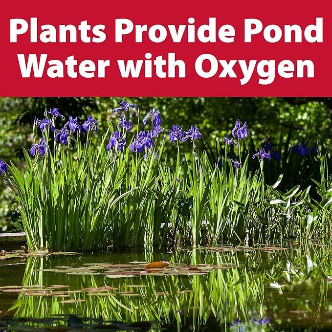 The Pond Guy Planting Tub Kit for Aquatic Plants with Soil & Media, Outdoor Water Garden Planter Pot for Lily, Lotus & Bog Plants, Small Tub Kit