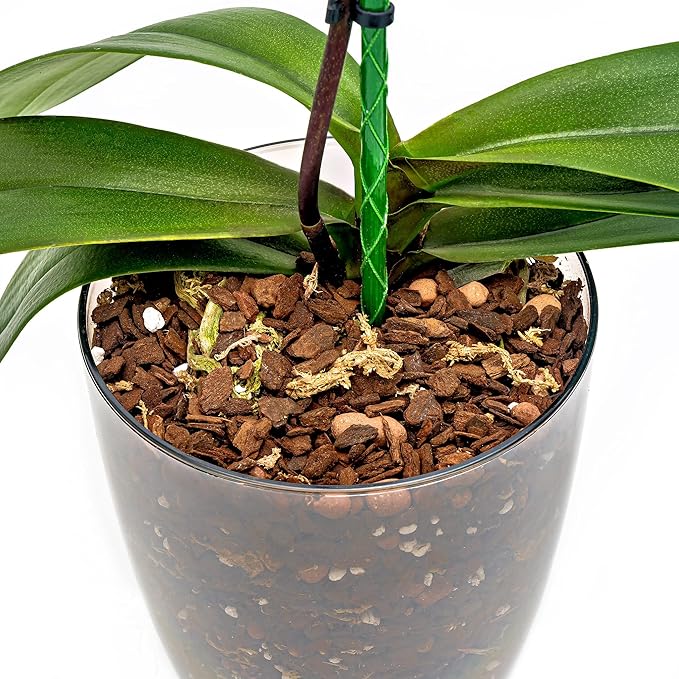 Organic Premium Orchid Soil Mix by Gardenera - Hand Mixed Classic Sphagnum Moss Potting Soil Mix - for Phalaenopsis Orchid - 5 Quart - Made in USA