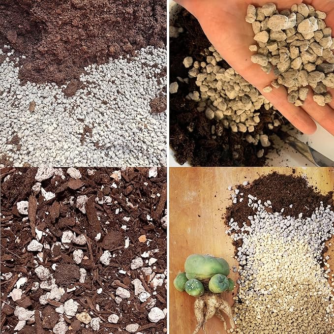 Organic Pumice for Bonsai and Horticultural 100% Natural (1 gallons, 3/8 inch)