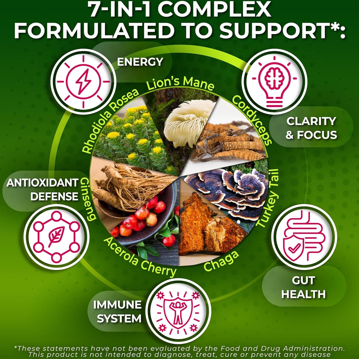 Organic Mushroom Complex: Lion's Mane, Turkey Tail, Cordyceps, Chaga, Contains Naturally Occurring Beta Glucans - Organic Energy & Immune Support Blend: Rhodiola Rosea, Ginseng & Acerola Cherry 120Ct